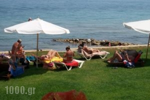 Stefania Apartments_holidays_in_Apartment_Ionian Islands_Zakinthos_Alykes