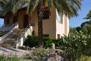 Semas Apartments_accommodation_in_Apartment_Dodekanessos Islands_Rhodes_Ialysos