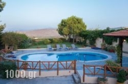 Agapi Villa in Archanes, Heraklion, Crete