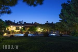 Agapi Villa_best prices_in_Villa_Crete_Heraklion_Archanes