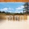 Mandarin_lowest prices_in_Hotel_Crete_Chania_Platanias