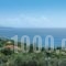 Selini Villa_lowest prices_in_Villa_Ionian Islands_Corfu_Corfu Rest Areas