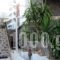 Villa Helena_best prices_in_Villa_Dodekanessos Islands_Rhodes_Paradisi