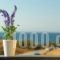 Lygaries Villas_travel_packages_in_Crete_Rethymnon_Stavromenos