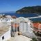 Pension Kir Sotos_travel_packages_in_Sporades Islands_Skopelos_Skopelos Chora