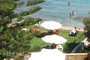 Stefania Apartments_best deals_Apartment_Ionian Islands_Zakinthos_Alykes