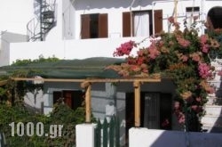 Renetta Hotel in Naxos Chora, Naxos, Cyclades Islands