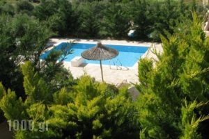 Villa Myrsini_accommodation_in_Villa_Crete_Heraklion_Tymbaki