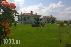 Mouses Apartments in Aposkepos, Kastoria, Macedonia