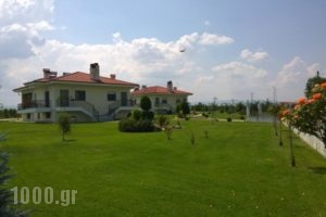 Mouses Apartments_holidays_in_Apartment_Macedonia_kastoria_Aposkepos