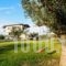 Villa Almira Luxury Apartments_best deals_Villa_Macedonia_Halkidiki_Ierissos