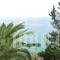 Apollon Apartments_best prices_in_Apartment_Thessaly_Magnesia_Pilio Area