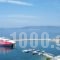 Hotel Selenunda_accommodation_in_Hotel_Sporades Islands_Skiathos_Skiathos Chora