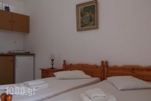 Villa Dolphin_best prices_in_Villa_Cyclades Islands_Syros_Vari