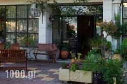 Rex Hotel in Edipsos, Evia, Central Greece