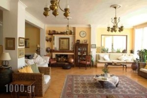 Rex Hotel_lowest prices_in_Hotel_Peloponesse_Ilia_Kakovatos