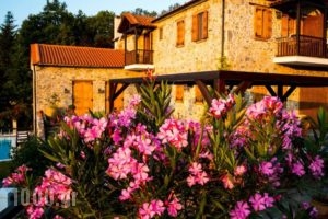 Traditional Guesthouse Eos_holidays_in_Hotel_Thessaly_Larisa_Agiokambos