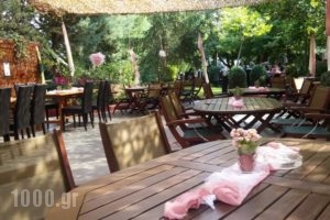 Hotel Pantelidis_best deals_Hotel_Macedonia_Kozani_Siatista