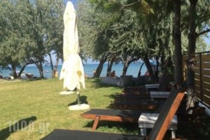 Hotel'S Tella_lowest prices_in_Hotel_Aegean Islands_Thasos_Prinos