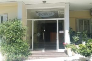 Foivos_lowest prices_in_Hotel_Central Greece_Evia_Edipsos