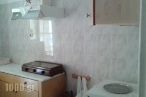 Hotel Daphne_best prices_in_Hotel_Central Greece_Fthiotida_Kamena Vourla