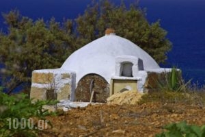 Meltemi Studios_holidays_in_Hotel_Dodekanessos Islands_Kasos_Kasos Chora