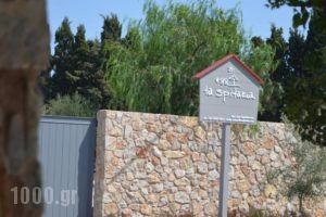 Ta Spitakia_accommodation_in_Hotel_Dodekanessos Islands_Kos_Kos Rest Areas