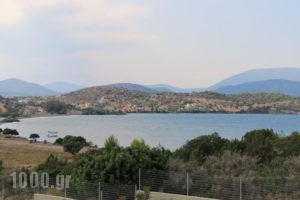 Gr8 Luxury Villas_lowest prices_in_Villa_Peloponesse_Argolida_Ermioni