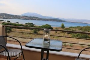 Gr8 Luxury Villas_best prices_in_Villa_Peloponesse_Argolida_Ermioni