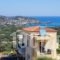 Villa Aaron_accommodation_in_Villa_Crete_Rethymnon_Mylopotamos