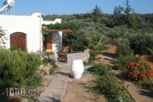 Porto Heli Apartments_accommodation_in_Apartment_Crete_Lasithi_Palaekastro