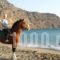 Alianthos Beach Hotel_best prices_in_Hotel_Crete_Rethymnon_Plakias