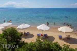 Vassilia_travel_packages_in_Macedonia_Halkidiki_Kassandreia
