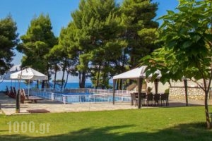 Vassilia_best prices_in_Hotel_Macedonia_Halkidiki_Kassandreia