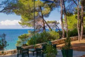 Vassilia_holidays_in_Hotel_Macedonia_Halkidiki_Kassandreia