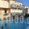 Virginia Studios I_accommodation_in_Hotel_Aegean Islands_Lesvos_Petra