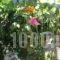 Pantelis Apartments_best deals_Apartment_Ionian Islands_Corfu_Corfu Rest Areas