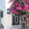 Utopia Hotel Apartments_accommodation_in_Apartment_Ionian Islands_Lefkada_Drimonas