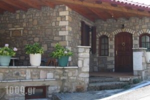 Guesthouse Jean Xceron_travel_packages_in_Peloponesse_Arcadia_Kosmas