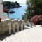 Ostria_best prices_in_Hotel_Sporades Islands_Alonnisos_Patitiri