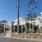 Nikolas Ios_accommodation_in_Hotel_Cyclades Islands_Ios_Ios Chora