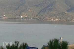 Hotel Romantica_lowest prices_in_Hotel_Central Greece_Evia_Edipsos