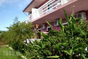 Eleni Studios & Apartments_best prices_in_Apartment_Ionian Islands_Zakinthos_Katastari