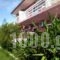 Eleni Studios & Apartments_best prices_in_Apartment_Ionian Islands_Zakinthos_Katastari