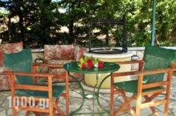 Eleni Studios & Apartments in Katastari, Zakinthos, Ionian Islands