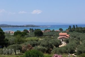 Nikos & Panagiota_lowest prices_in_Hotel_Macedonia_Halkidiki_Chalkidiki Area