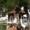 Rooms Olympia_best deals_Room_Aegean Islands_Ikaria_Raches