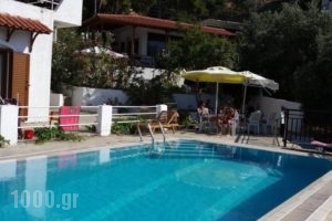 Rooms Olympia_lowest prices_in_Room_Aegean Islands_Ikaria_Raches