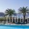 Arkesia Hotel_lowest prices_in_Hotel_Dodekanessos Islands_Karpathos_Karpathos Chora