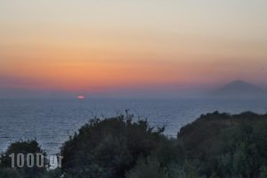 Ploes Villas_best deals_Villa_Peloponesse_Ilia_Pyrgos